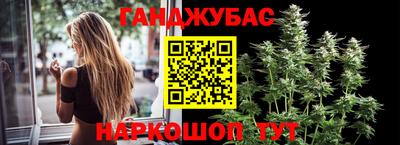 шишки Нарткала
