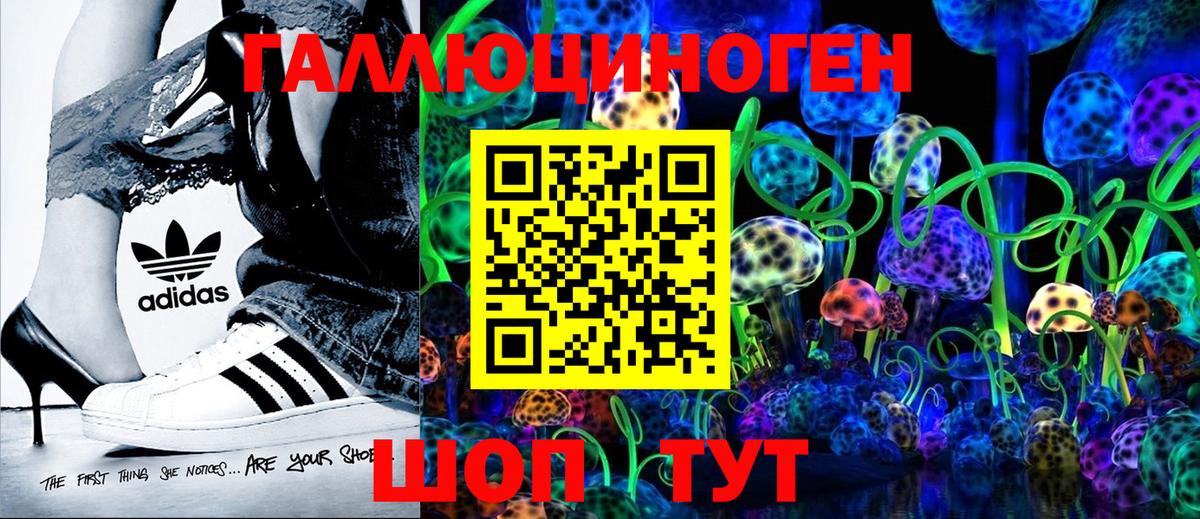 Псилоцибиновые грибы GOLDEN TEACHER  Псилоцибиновые грибы мицелий  Усолье-Сибирское  Вход с VPN 